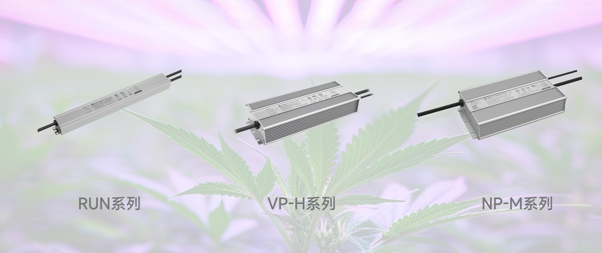 恒峰g22 - 官网入口 -- 天天有惊喜