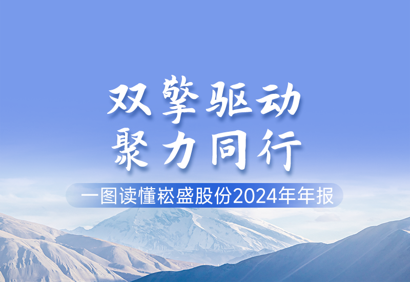 一图读懂 ▏恒峰g22股份2024年年报