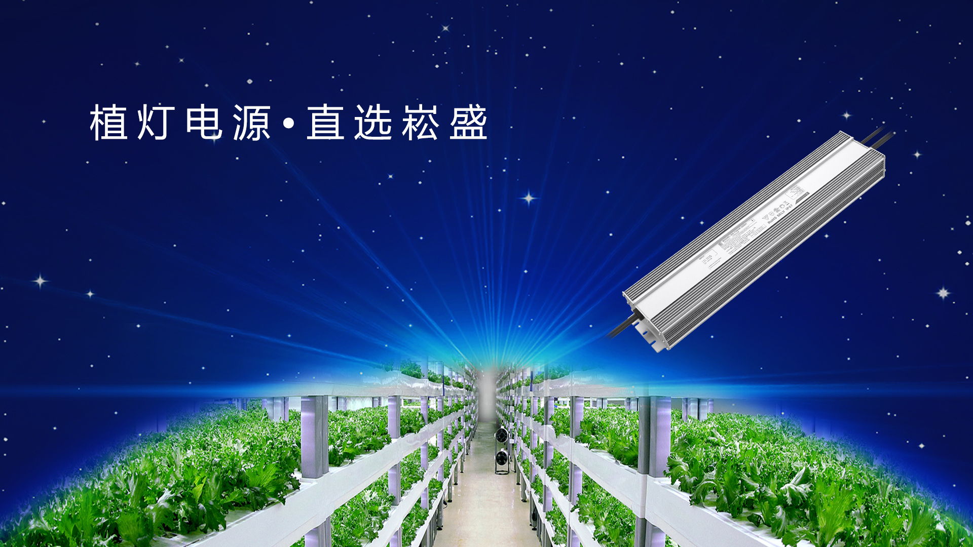 追光而行 ▏做植物照明驱动者，，，，让未来农业绽放无限可能